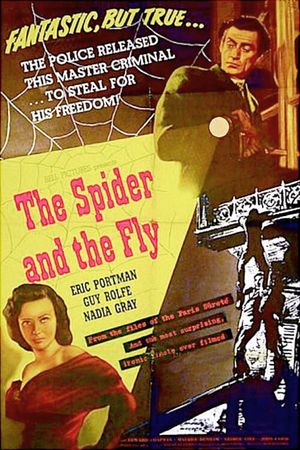 The Spider and the Fly's poster