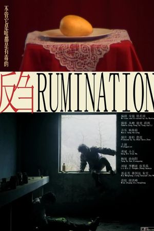Rumination's poster