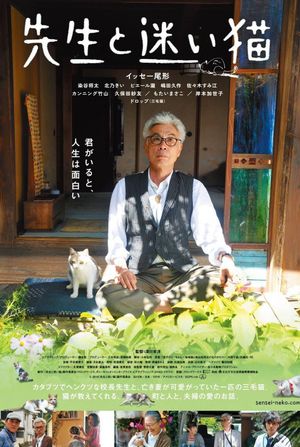 Teacher and Stray Cat's poster
