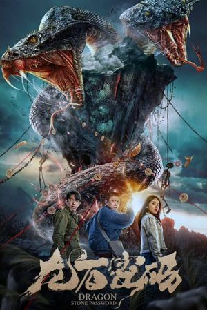 Dragon Stone Password's poster