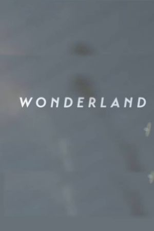 Wonderland | A Short Form Doc on Creative Commerce's poster