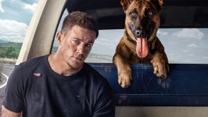 Dog's poster