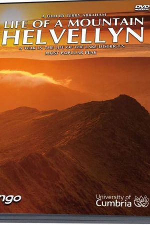 A Year on Helvellyn's poster