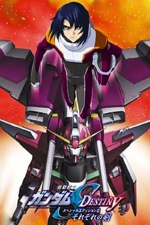 Mobile Suit Gundam SEED Destiny TV Movie II: Their Respective Swords's poster