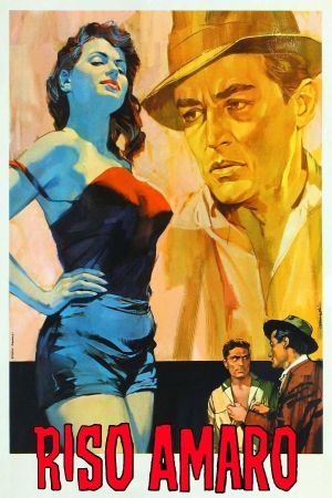Bitter Rice's poster