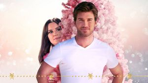 Mr. 365's poster