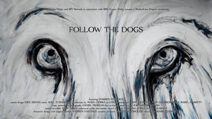Follow the Dogs's poster