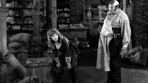 Little Lord Fauntleroy's poster