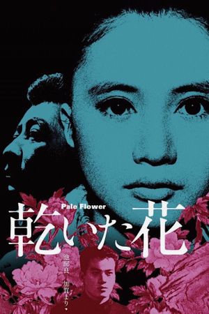Pale Flower's poster