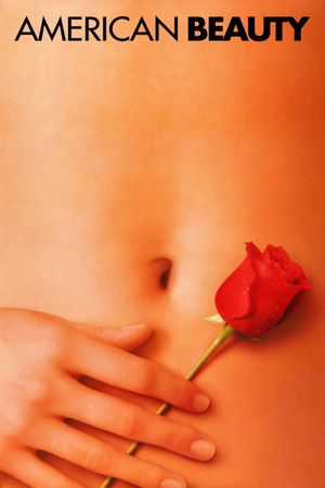 American Beauty's poster