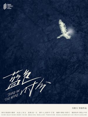Bird on the Wire's poster