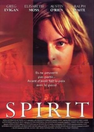 Spirit's poster