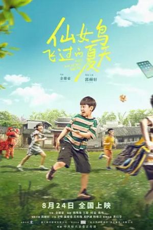 仙女鸟飞过的夏天's poster