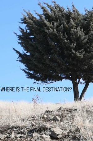Where is the Final Destination?'s poster