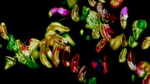 Glaze of Cathexis's poster