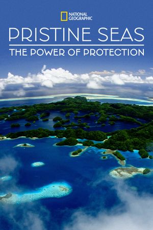 Pristine Seas: The Power of Protection's poster image