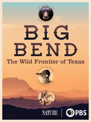 Big Bend: The Wild Frontier of Texas's poster