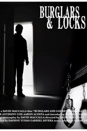 Burglars & Locks's poster