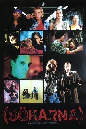 The Searchers's poster