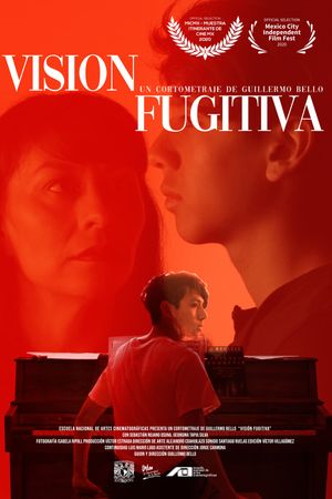 Fugitive Vision's poster