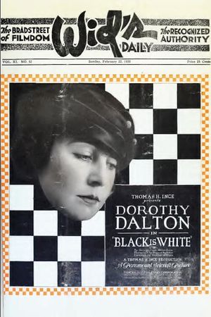 Black Is White's poster
