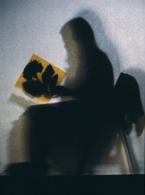 Lourdes Castro Shadows's poster image