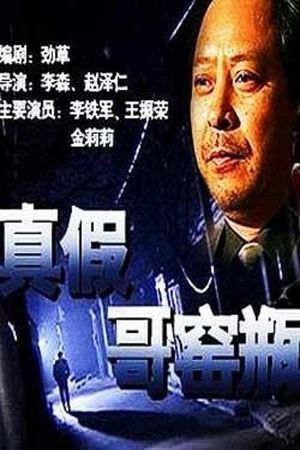 真假哥窑瓶's poster