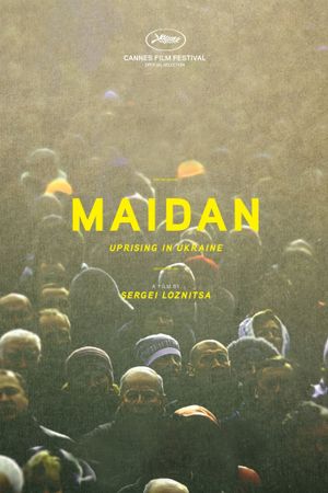 Maidan's poster image