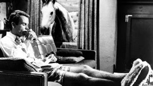 The Horse in the Gray Flannel Suit's poster