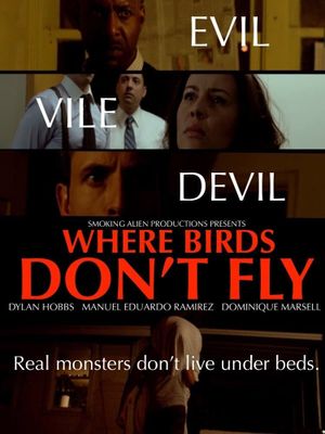 Where Birds Don't Fly's poster