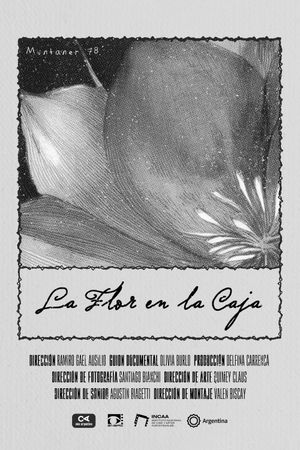The Flower in the Box's poster
