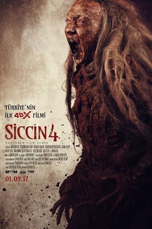 Siccin 4's poster