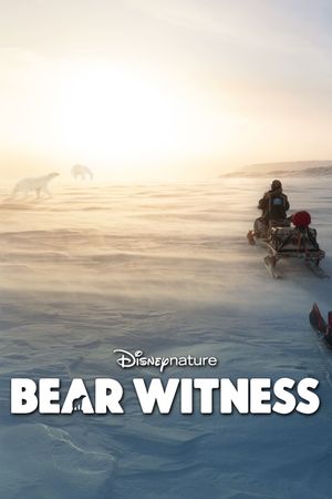 Bear Witness's poster
