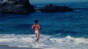 Big Sur Gay Porn's poster