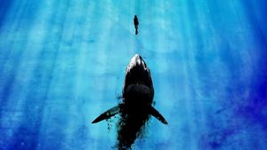 Deep Blue Sea's poster