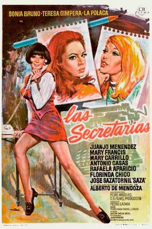 The Secretaries's poster