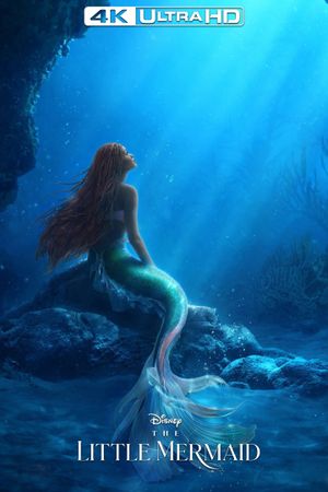 The Little Mermaid's poster