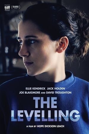 The Levelling's poster