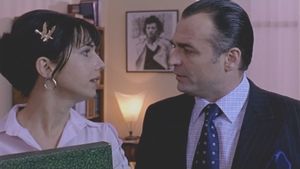 The Professional's poster