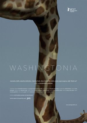 Washingtonia's poster