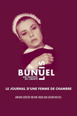 Diary of a Chambermaid's poster