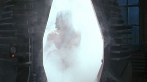 The Fly's poster