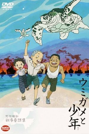 The Boy and the Sea Turtle's poster image