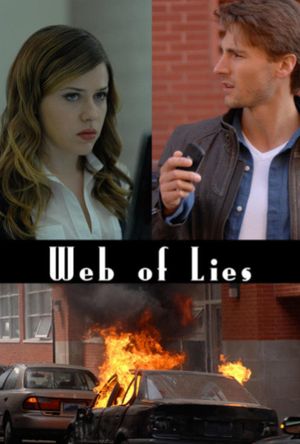 Web of Lies's poster