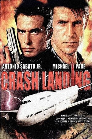 Crash Landing's poster