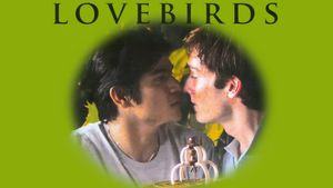 Lovebirds's poster