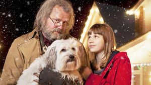 Mr. Stink's poster