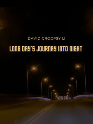 Long Day's Journay Into Night's poster image