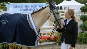 Taking the Reins's poster