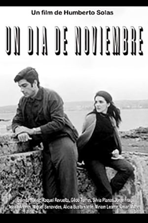 Un día de noviembre's poster